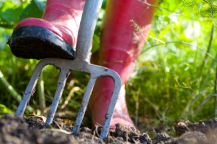 Organic farming relies on natural ways to maintain soil productivity.