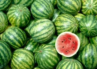 Watermelons can be used a renewable resource, study confirms. 