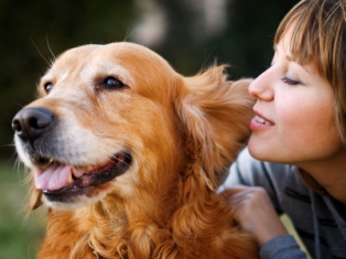 Pet ownership is benefical to human health, study shows.
